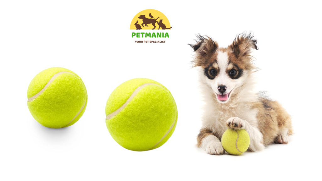 Balles de Tennis Jouet pour Chien Idéal