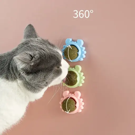 Boule d’herbe à chat