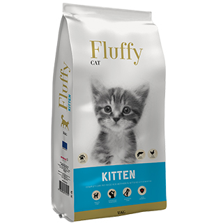 Fluffy kitten 1.5 kg