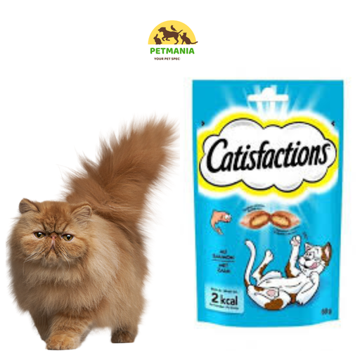 CATISFACTION Friandise Pour Chat Riche en saumon 60gr