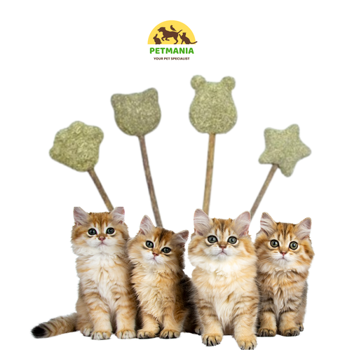 Sucette catnip & fruit de matatabi pour chien et chat
