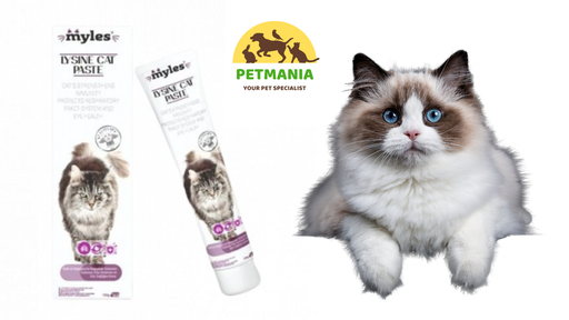 Myles Lysine Cat Paste 100 gr
